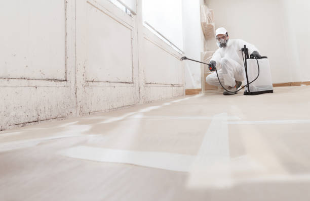 24/7 Emergency Attic Mold Removal experts in Elm City, NC
